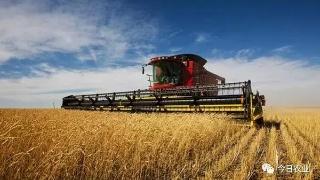 �����ַ���